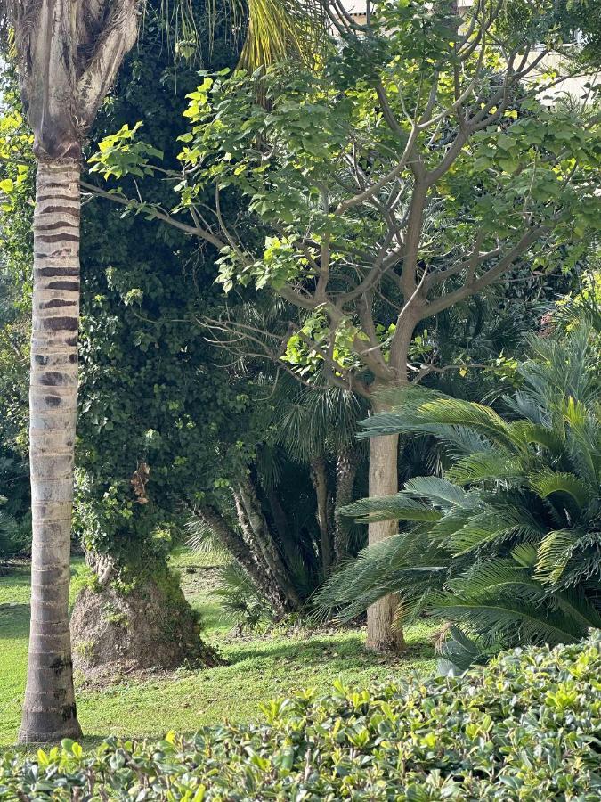 Cannes Studio Situe Dans La Residence Gallia Historique Dış mekan fotoğraf